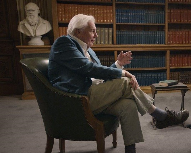 David Attenborough