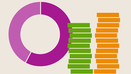 an example pie chart and bar chart