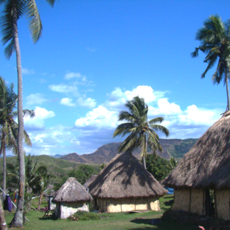 Cyclone-proof indigenous homes (bure) in Navala Village, Viti Levu, Fiji