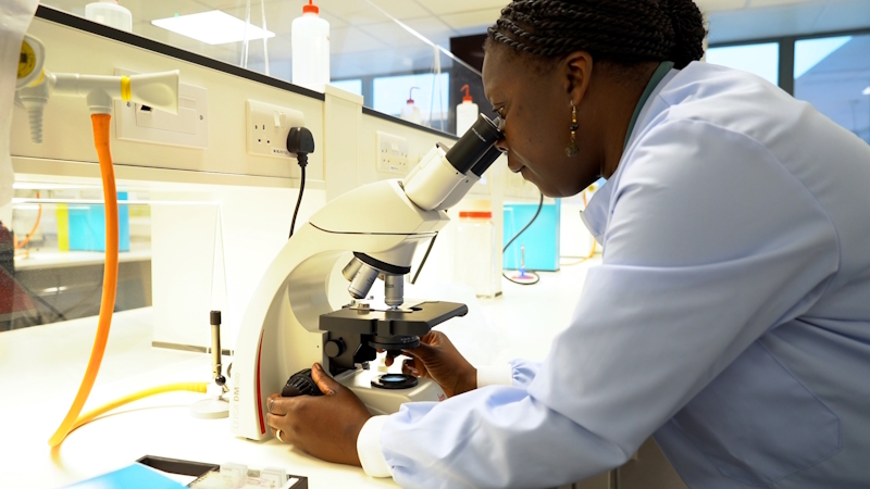 Professor Bernadine Idowu looks through a microscope at work