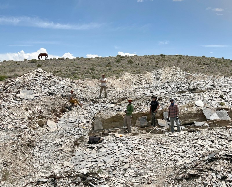 Photograph of the Gray Marjum excavation site in Utah, in May 2023. A landscape photograph of rocky shale and blue sky above. Posing on the rocky landscape are  J. Skabelund, R. Lerosey-Aubril, J. Ortega-Hernández, R. Gaines, and L. Del Mouro.