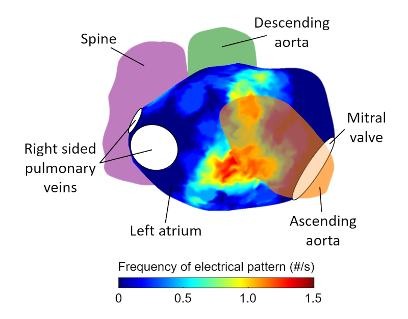 Integration of Magnetic Resonance Imaging (MRI) with electrical mapping data from charge density mapping can offer new insights into the treatment of atrial fibrillation. This approach allows for a more comprehensive understanding of the structural and electrical characteristics of the heart's atria, which are crucial in planning and improving treatment strategies for this common cardiac arrhythmia.