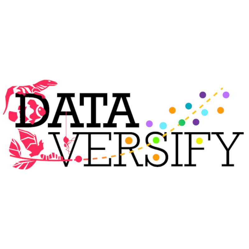 Data versify logo