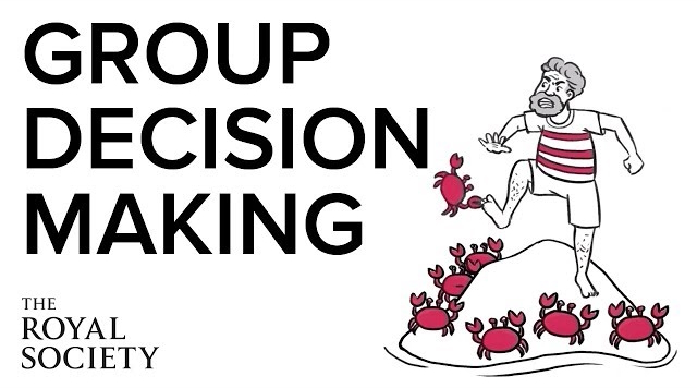 Group decision making video screenshot