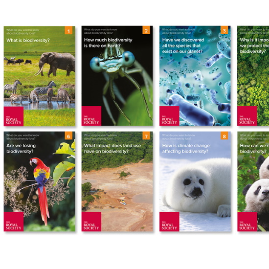 Biodiversity loss Q&A resources