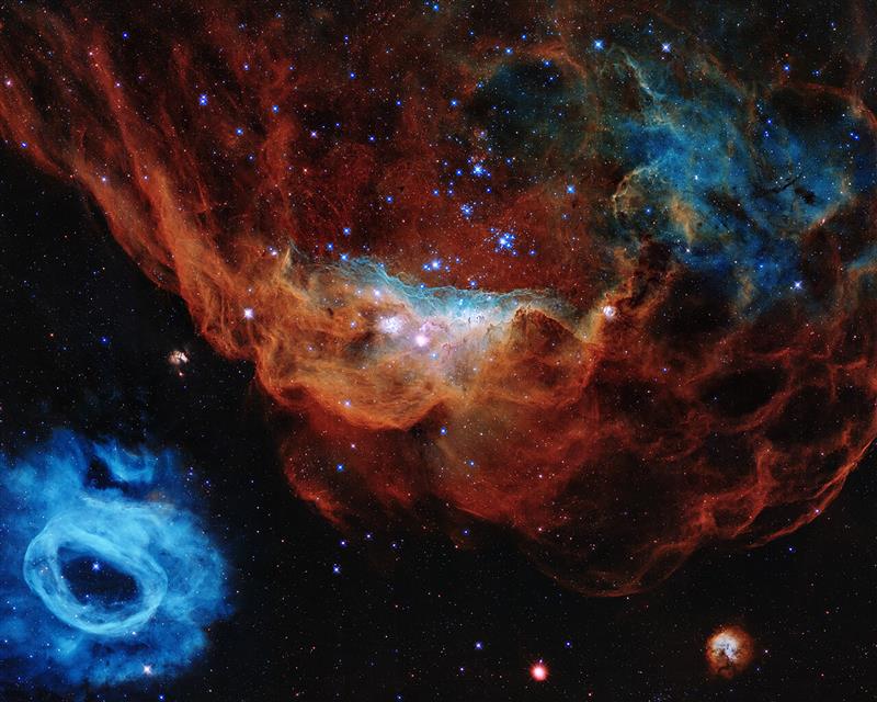 Portrait of giant nebula NGC 2014 and its neighbour NGC 2020 observed by the NASA/ESA Hubble Space Telescope.